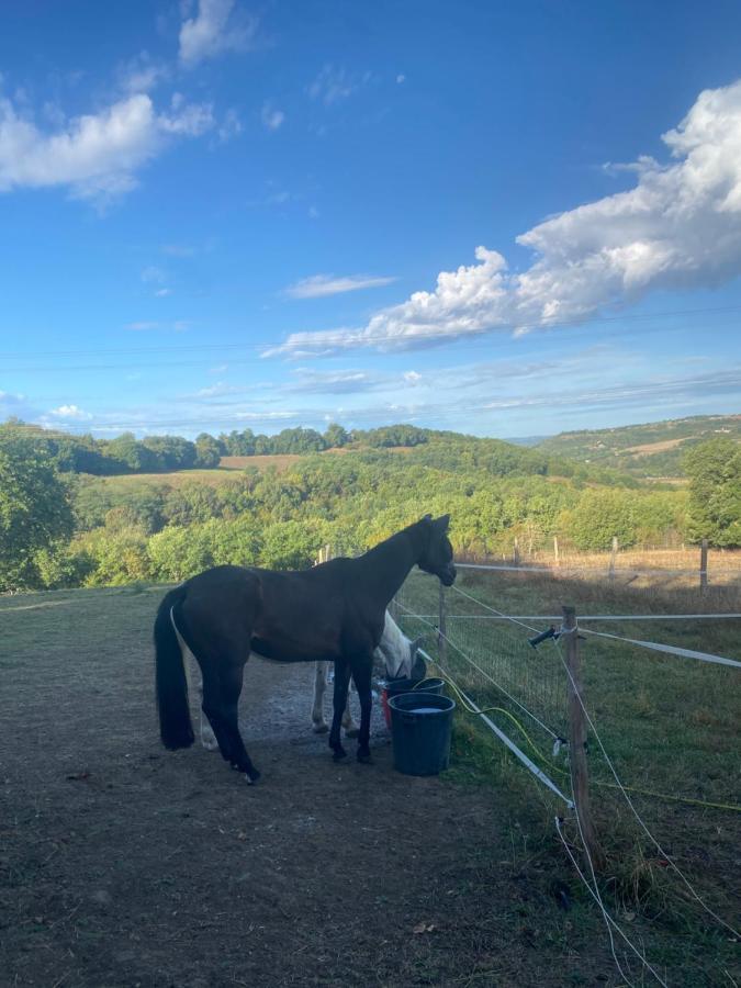 Chez Sophie - Gite Et Gite Equestre Clermont-Dessous Eksteriør bilde
