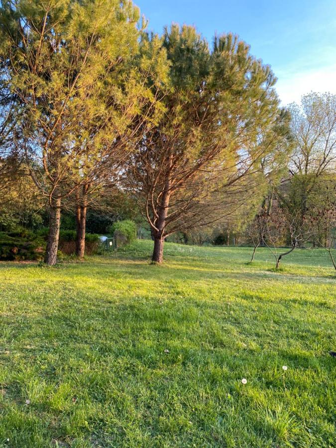 Chez Sophie - Gite Et Gite Equestre Clermont-Dessous Eksteriør bilde